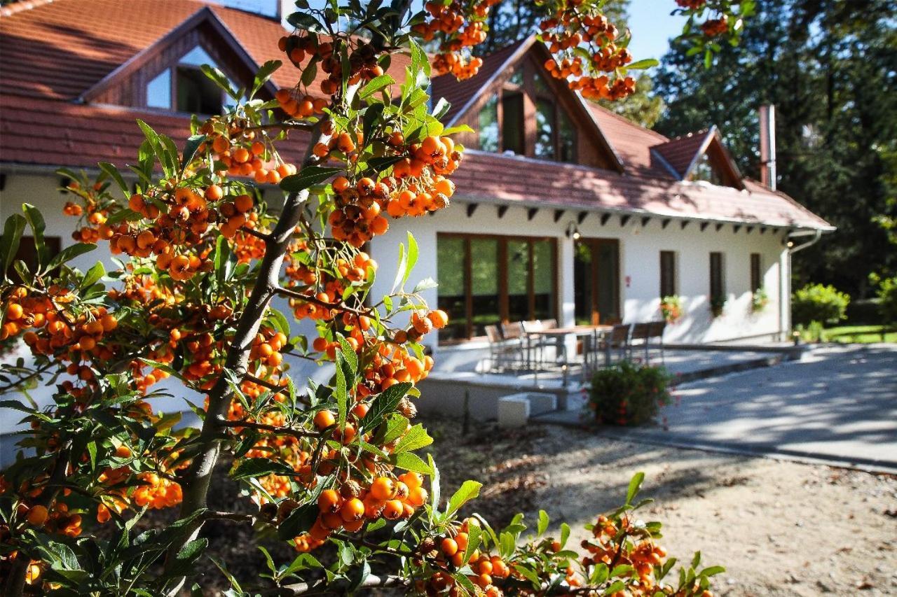 Hodoseri Vadaszhaz Bakonyszentlaszlo Экстерьер фото